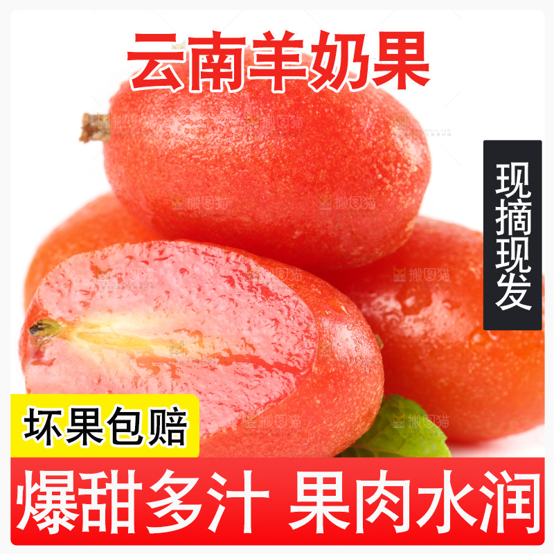 白底上的云南羊奶果