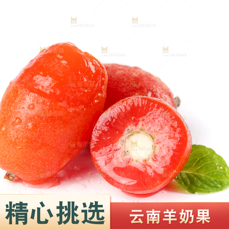 白底上的云南羊奶果