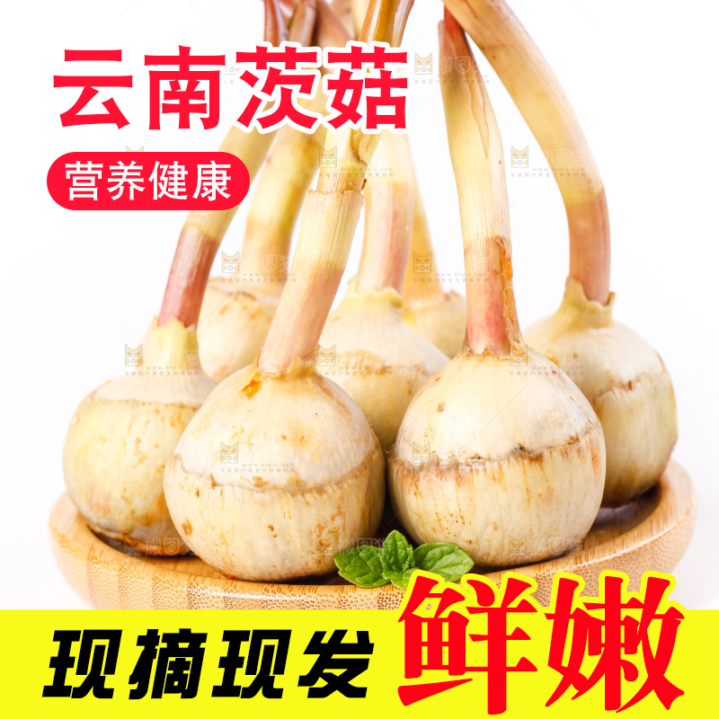 白底上的一盘新鲜茨菇