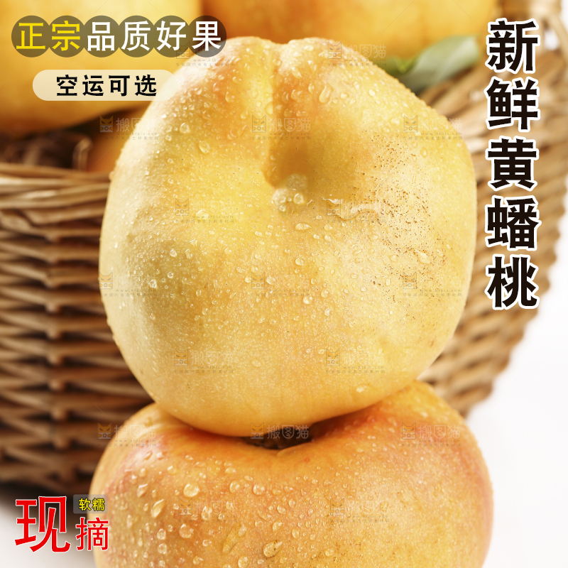 白底上的黄金油蟠桃