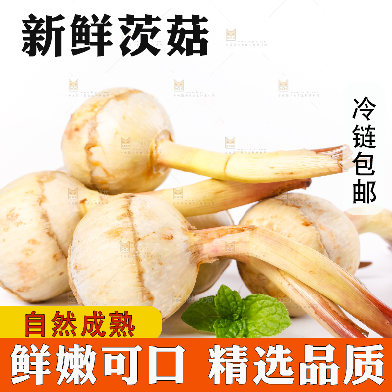 白底上的新鲜茨菇