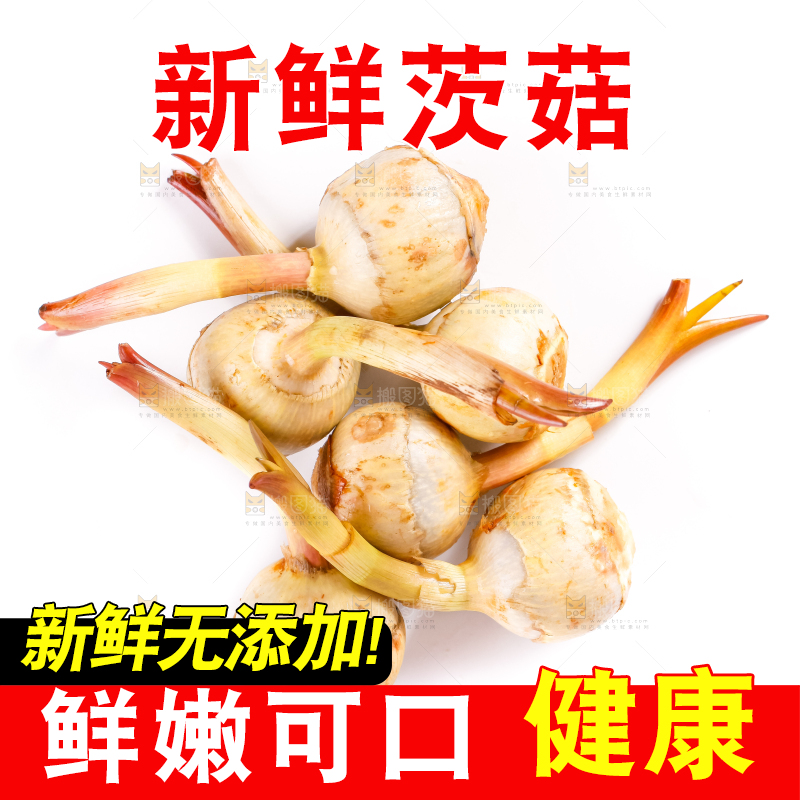 白底上的新鲜茨菇