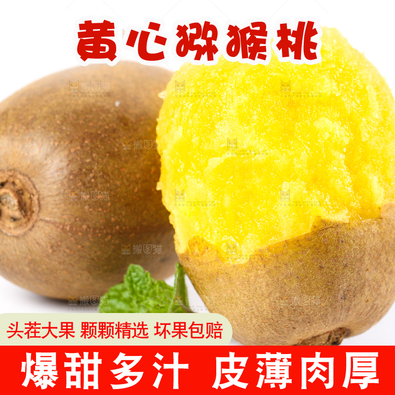 白底上的黄心猕猴桃