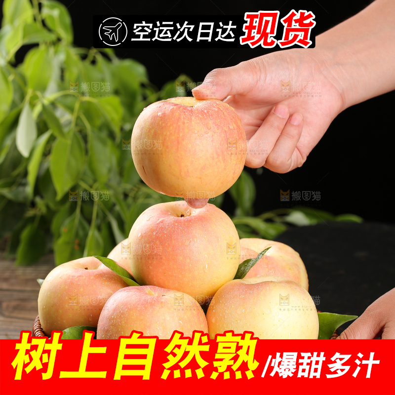 手拿着嘎啦果