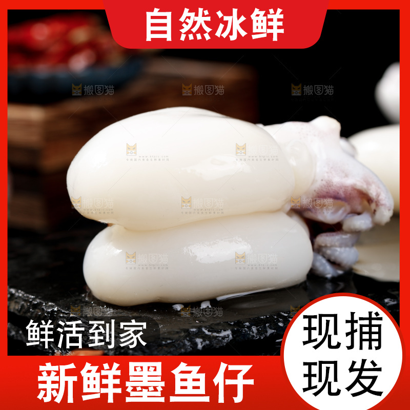 黑底上的新鲜墨鱼仔