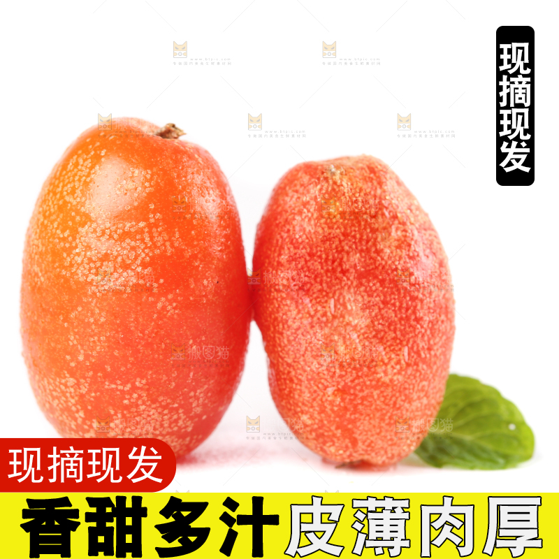 白底上的云南羊奶果
