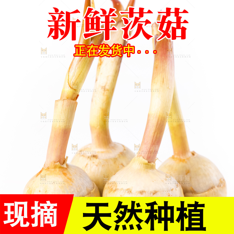 白底上的新鲜茨菇