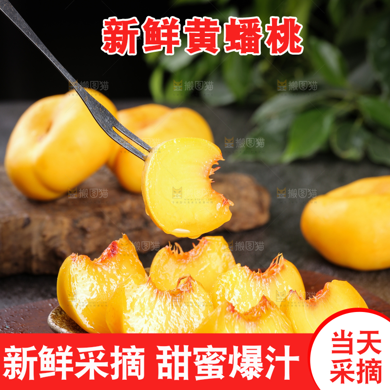 叉子上切块的黄蟠桃