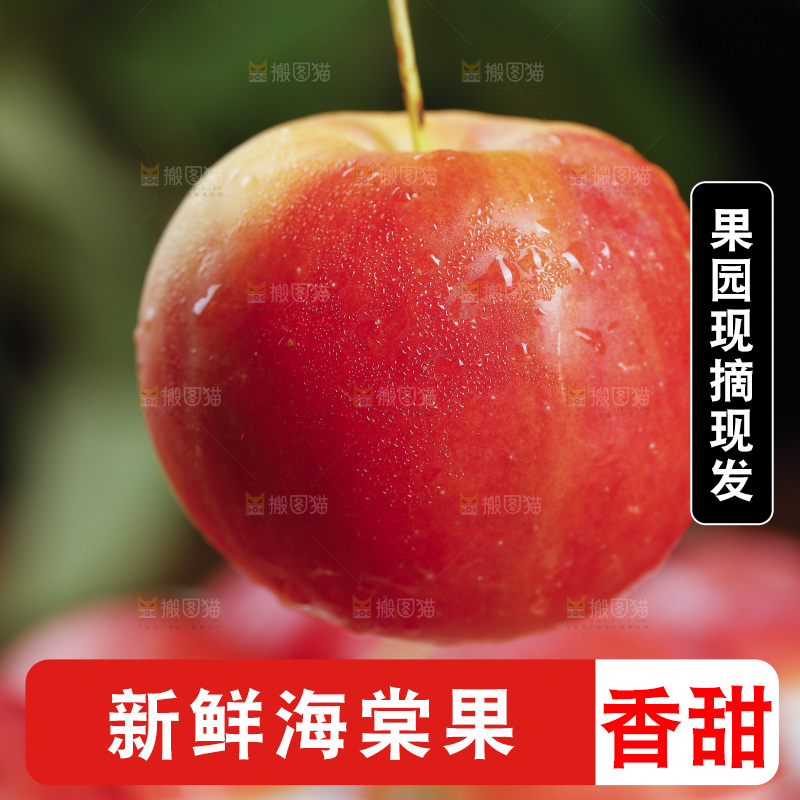 新鲜海棠果纹理