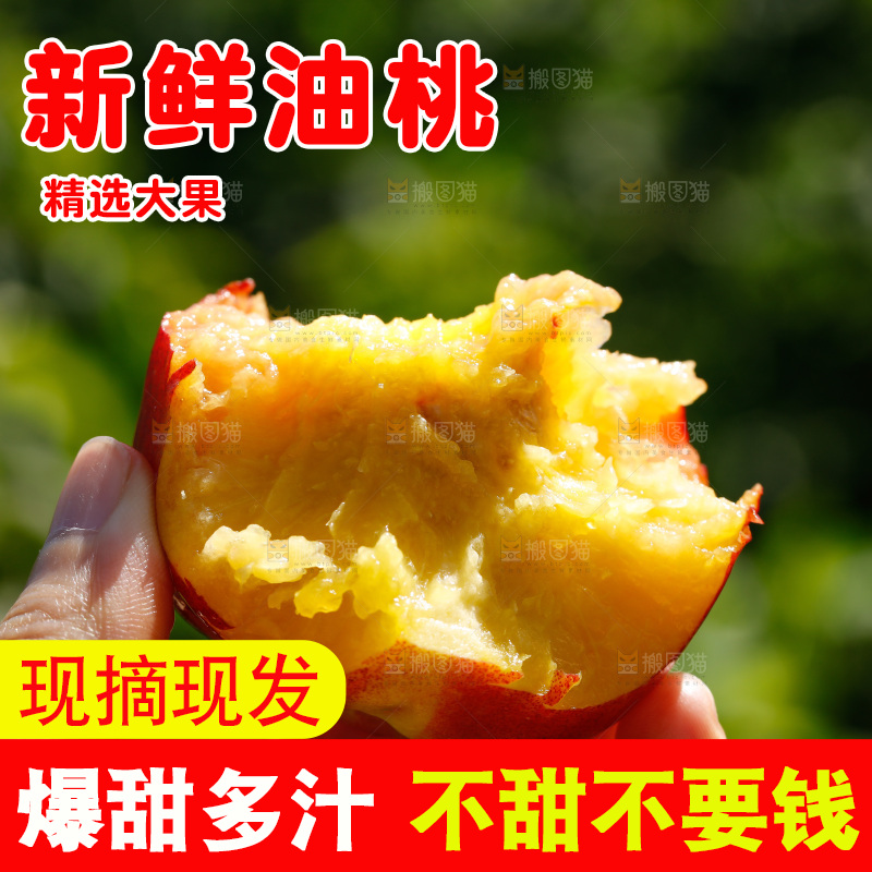 手拿咬开的黄肉油桃