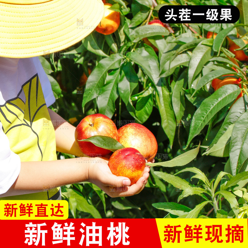 小孩手里拿着油桃