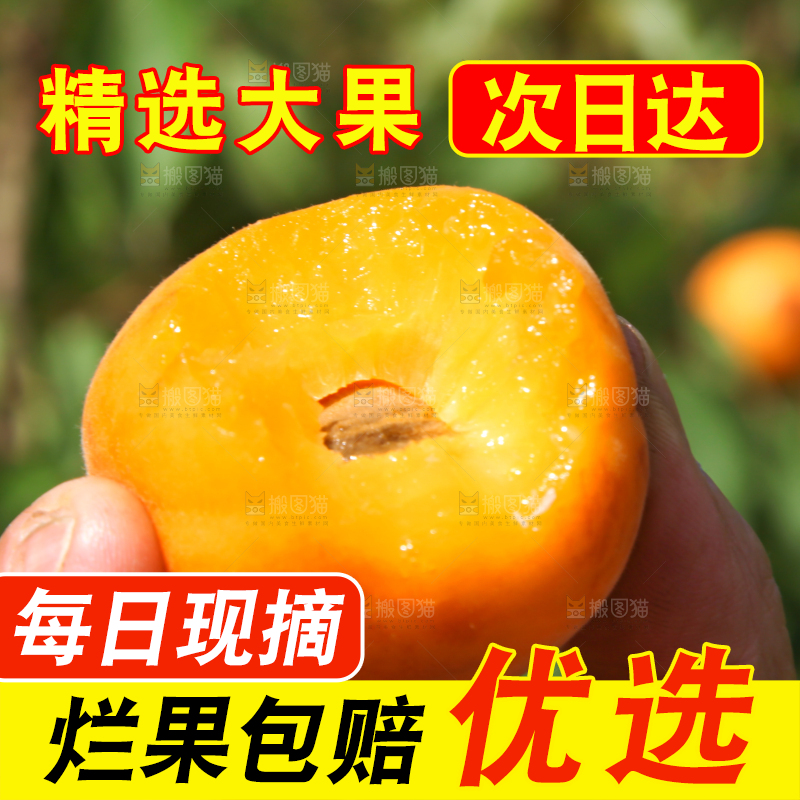 手拿着咬了一口的黄杏