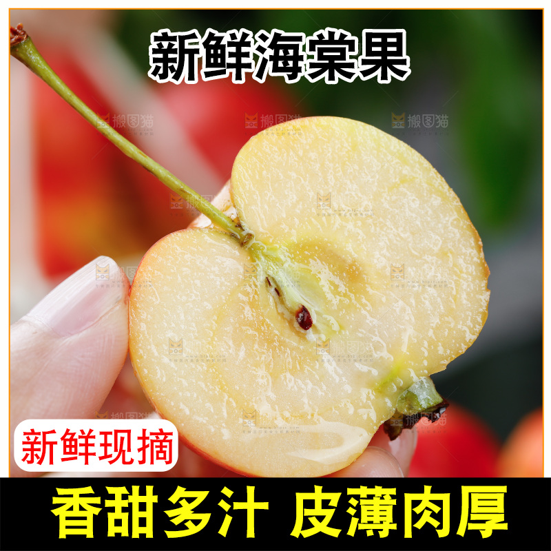 手上拿着东北海棠果