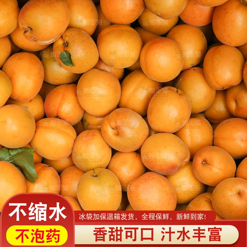 篮子里装着大黄杏