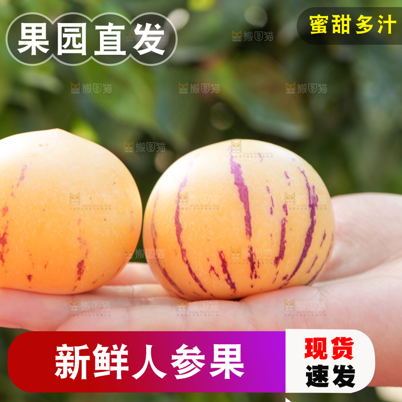 手上拿着人参果