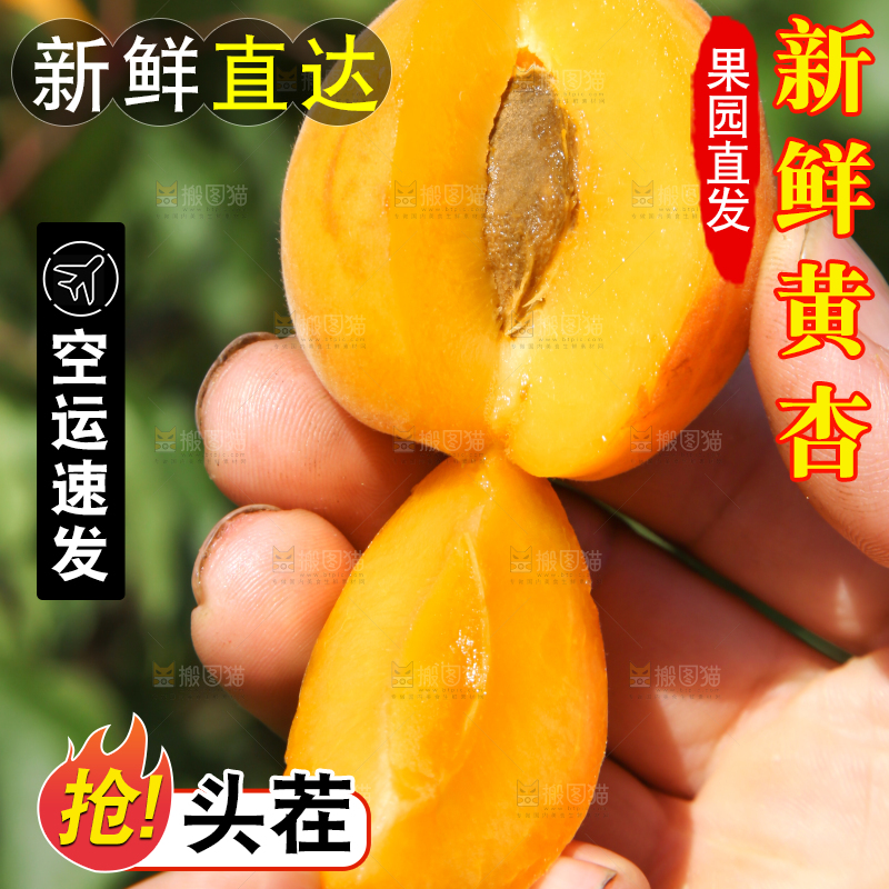 手拿着掰开的黄杏