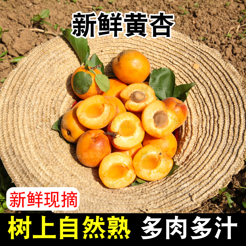 帽子里装着的黄杏
