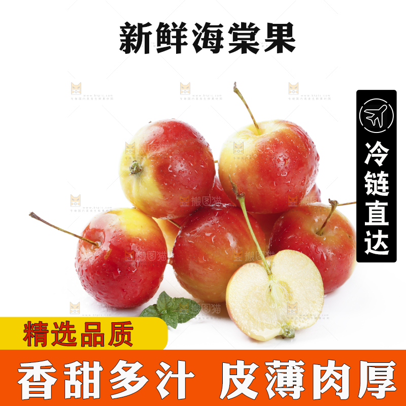白底上的东北海棠果
