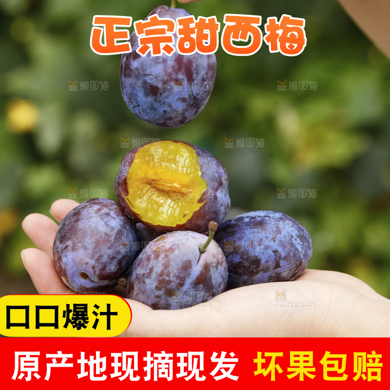 手上放着新疆大西梅
