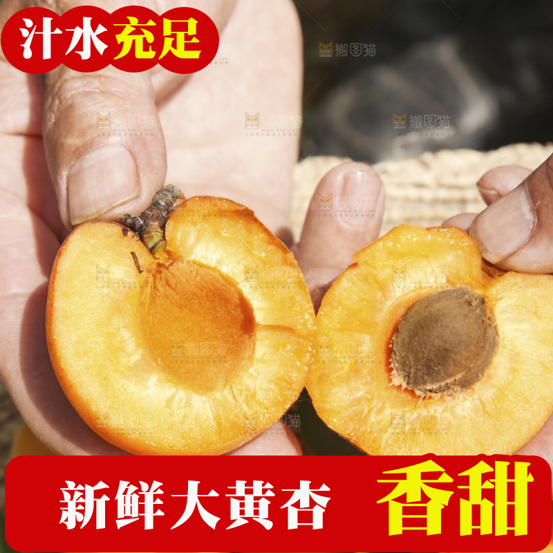 手拿着掰开的黄杏