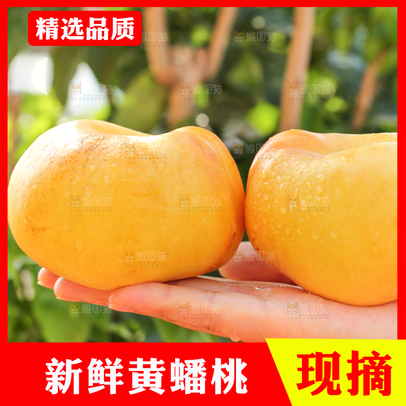 手上拿着黄油蟠桃
