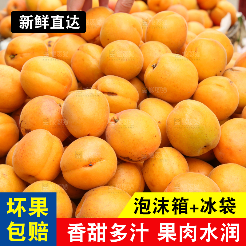 篮子里装着大黄杏