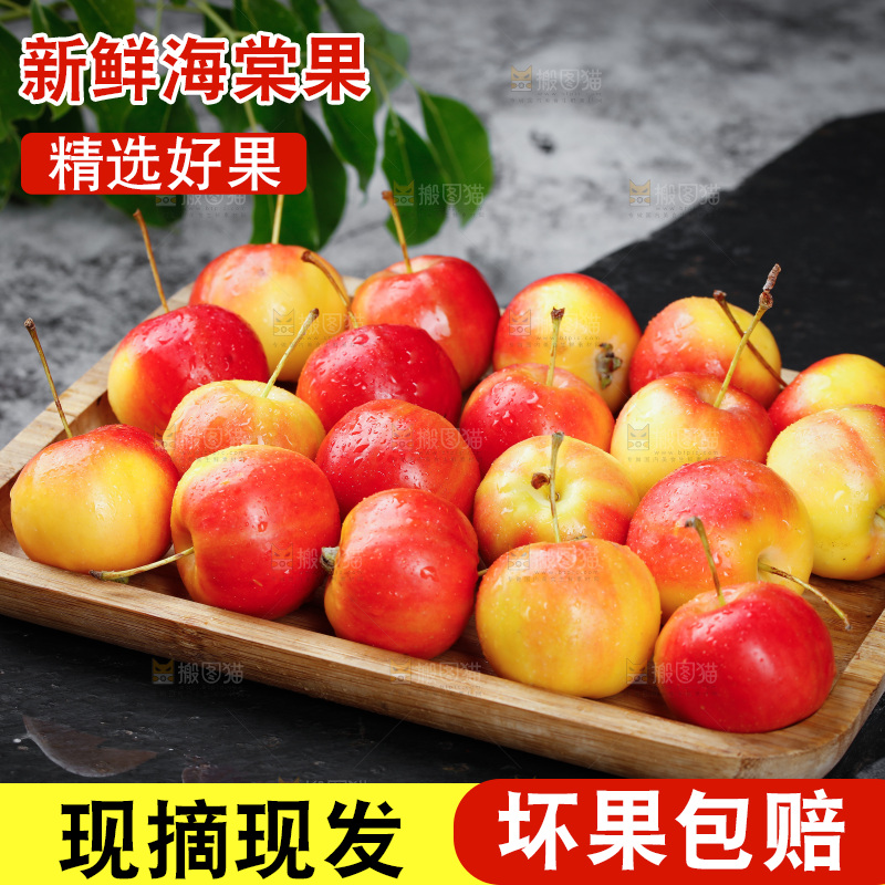 黑底上的一盘海棠果