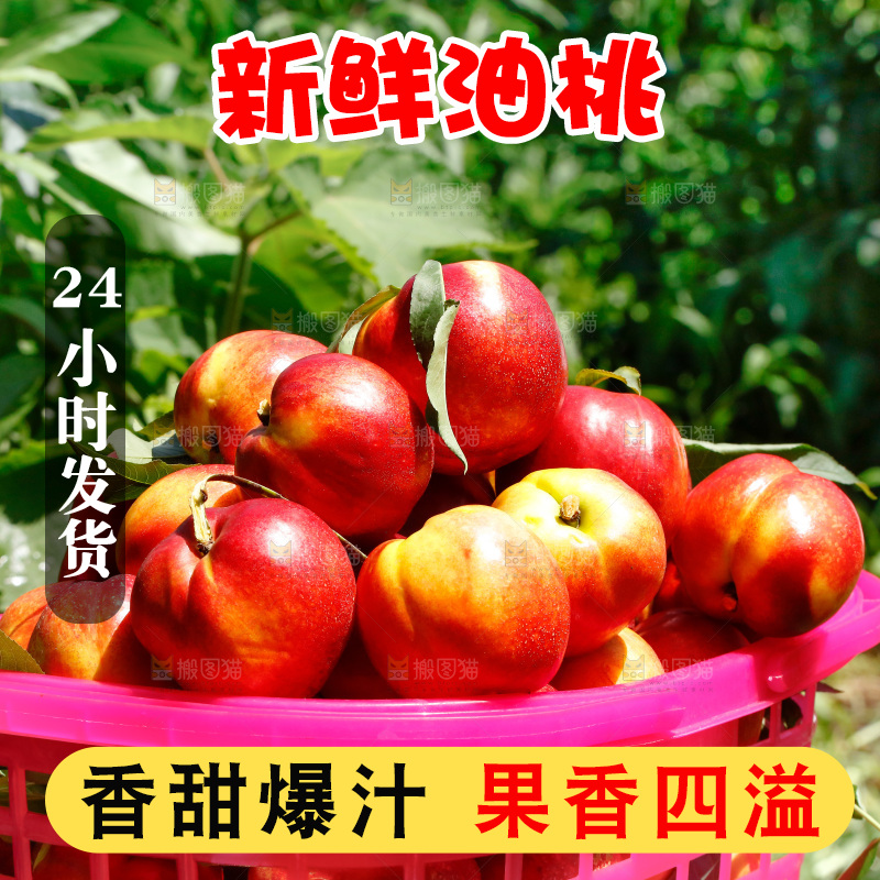 篮子里的新鲜油桃