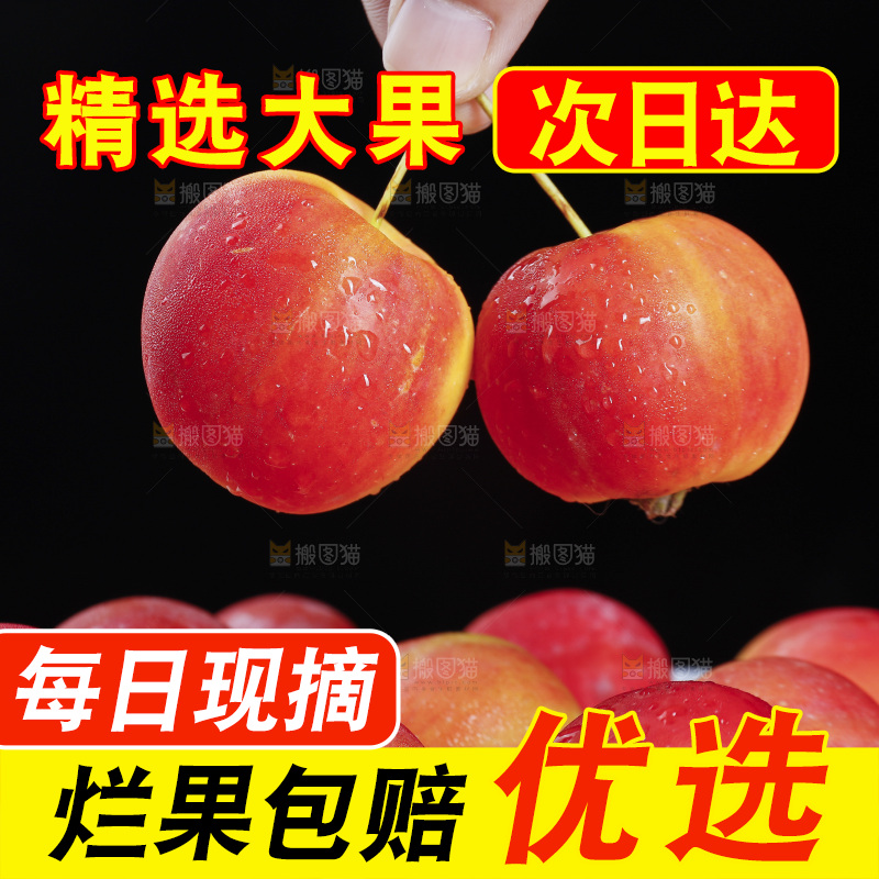 手上拿着新鲜海棠果