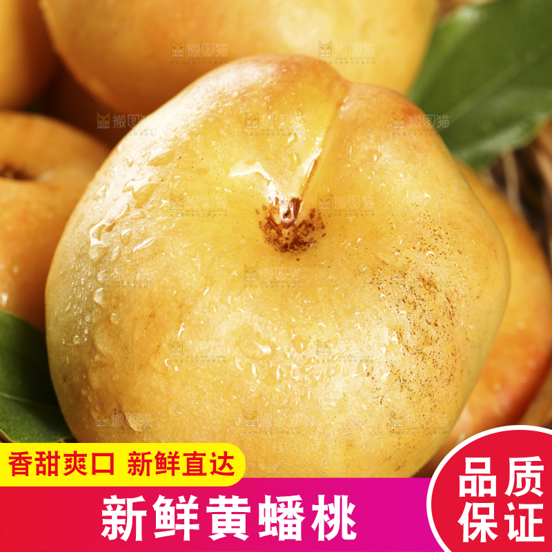 篮子里的黄金油蟠桃