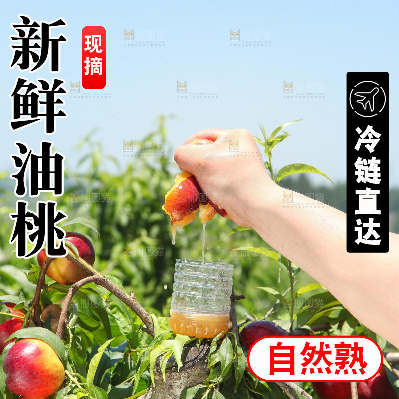 手里爆汁的油桃