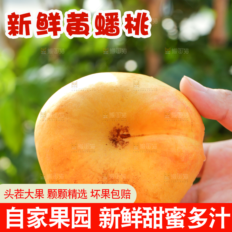 手上拿着黄油蟠桃