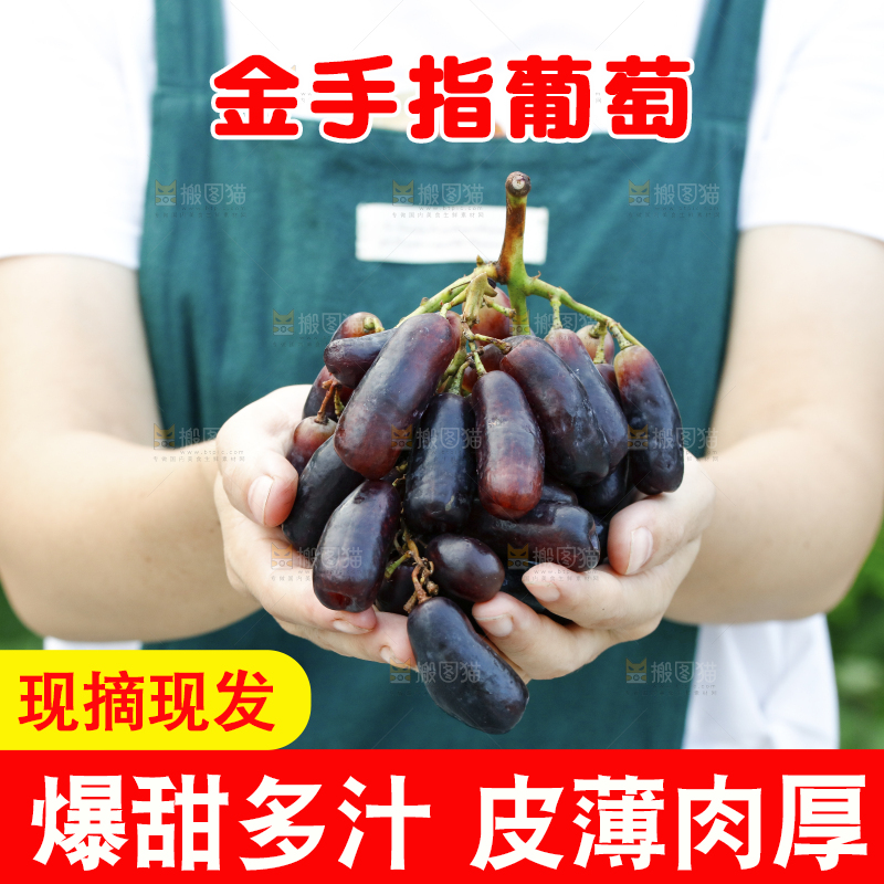 手里捧着一串蓝宝石葡萄