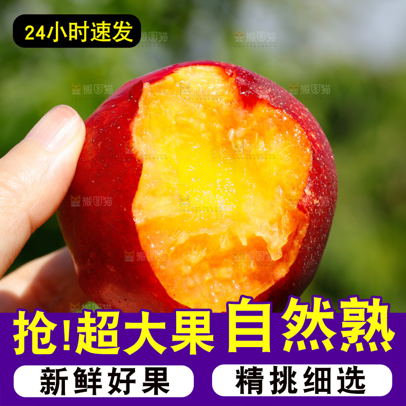 手里拿着黄肉油桃