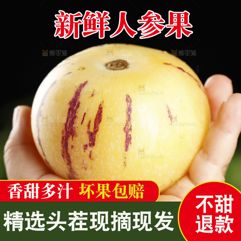 手上拿着的新鲜人参果