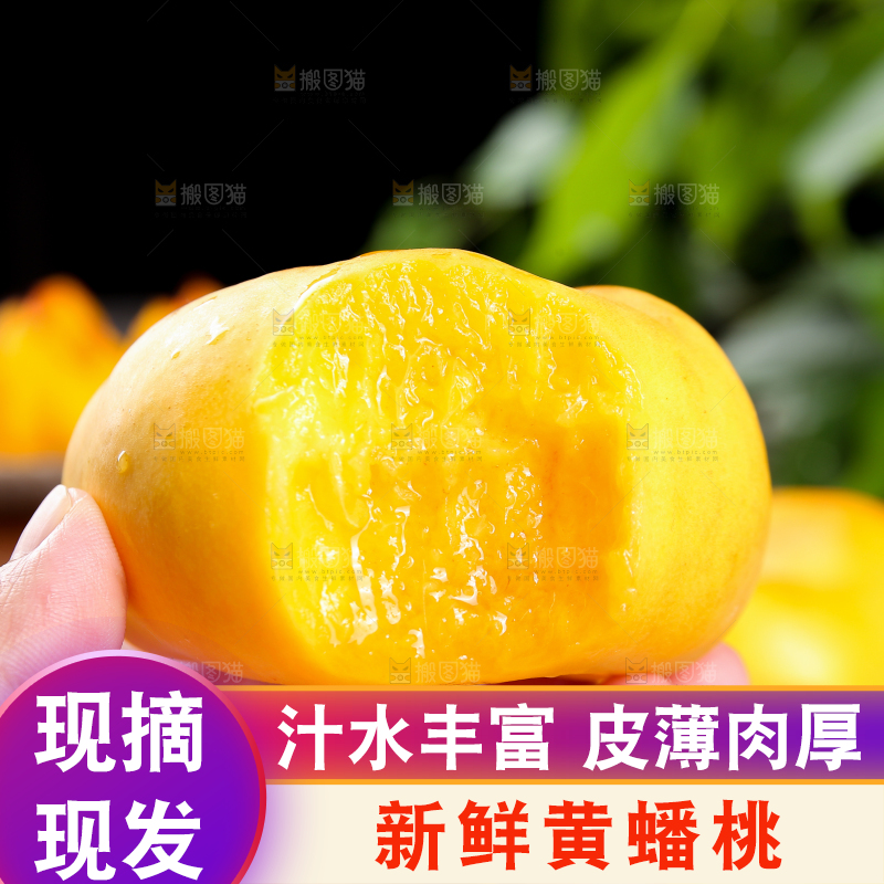 手上拿着黄蟠桃果肉