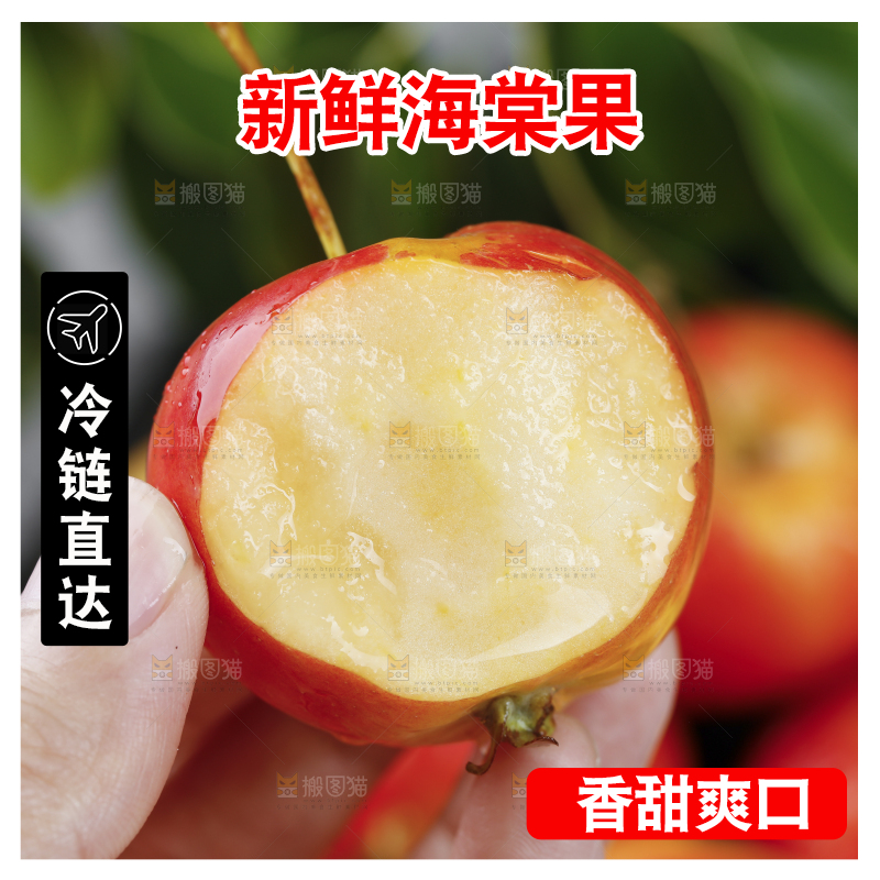 手上拿着东北海棠果
