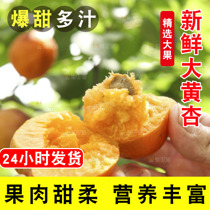 手拿着掰开的黄杏