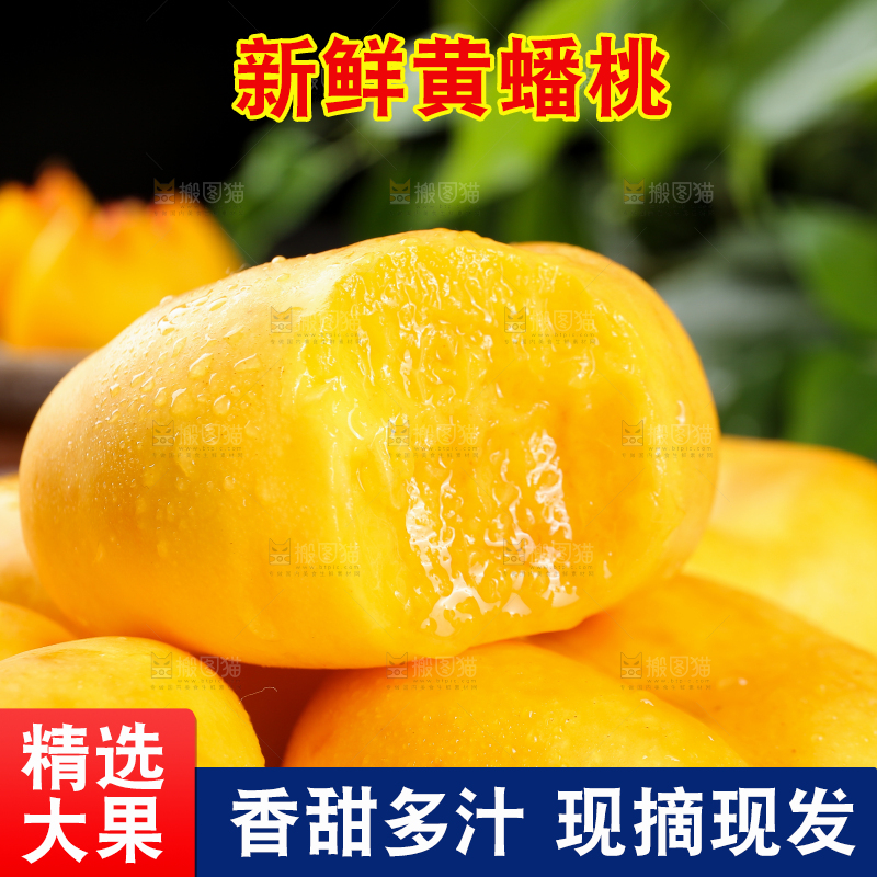 堆放着的黄蟠桃