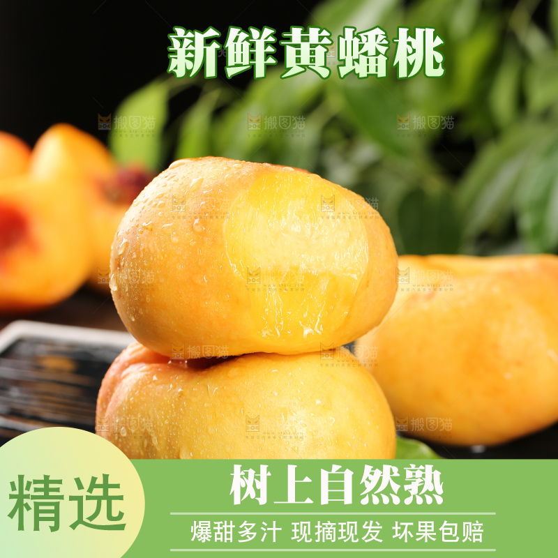 深底上的黄金油蟠桃