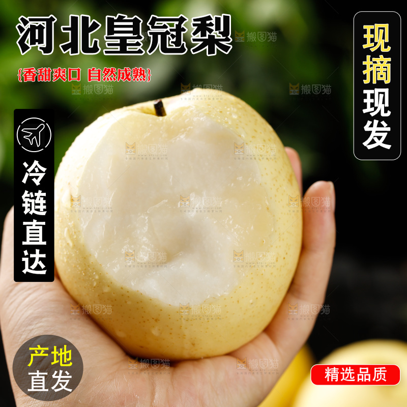 手里捧着皇冠梨