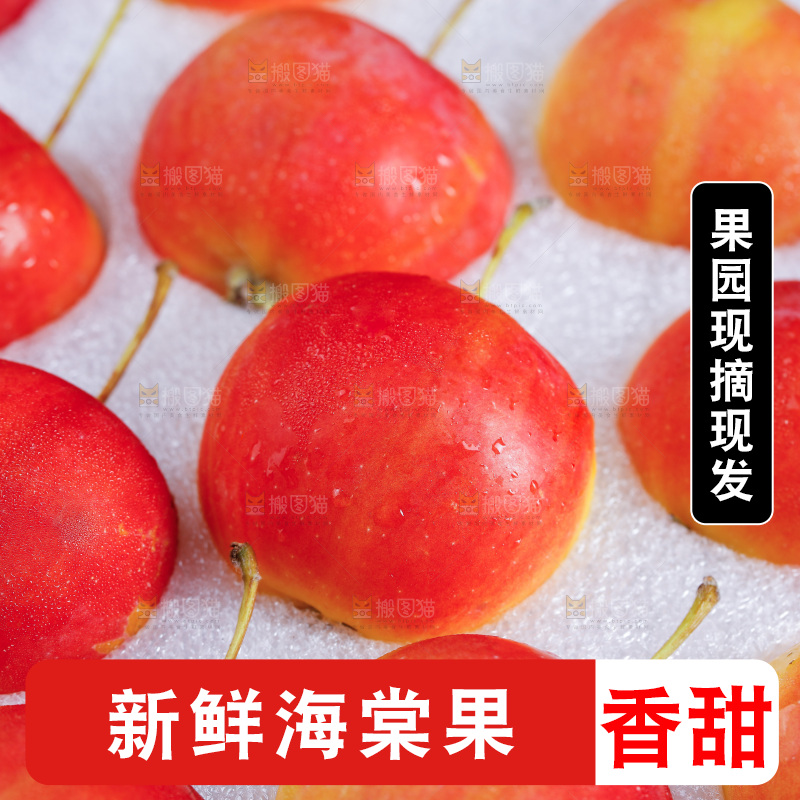 新鲜海棠果纹理