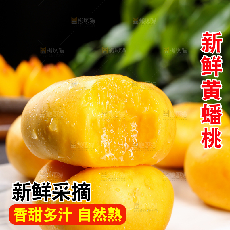 白石板上的黄蟠桃