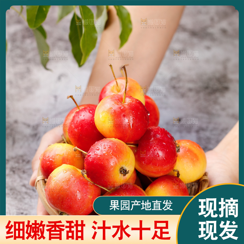 手拿着一筐新鲜海棠果