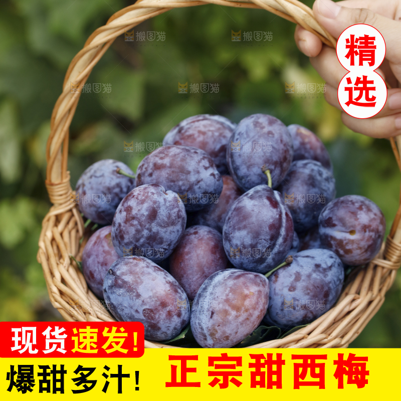 手里拿着一篮新鲜西梅
