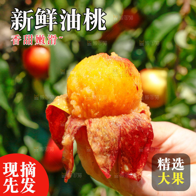 手里剥皮的黄心油桃