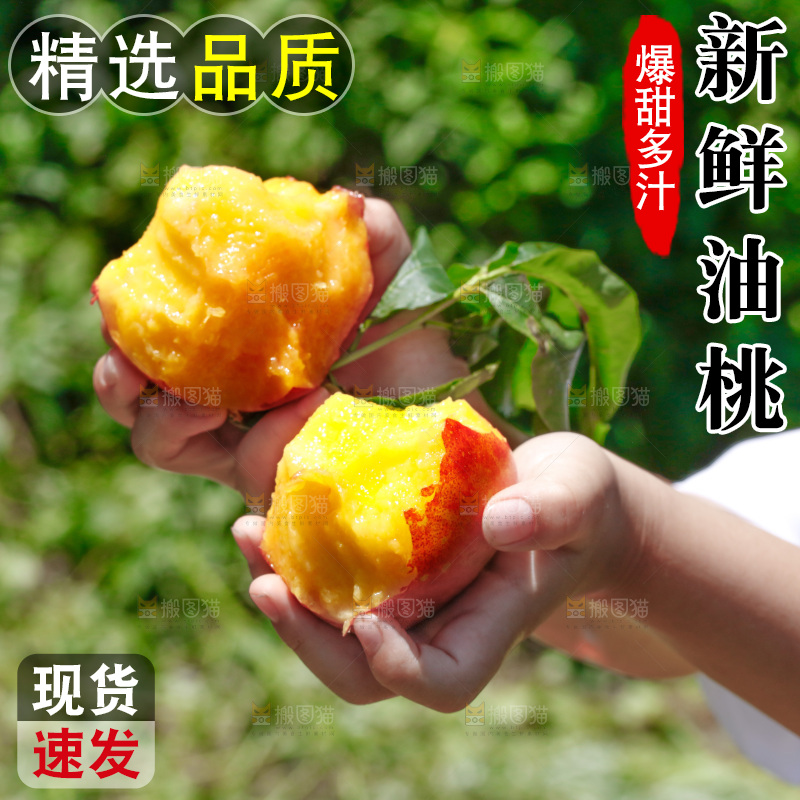 手里咬开的油桃