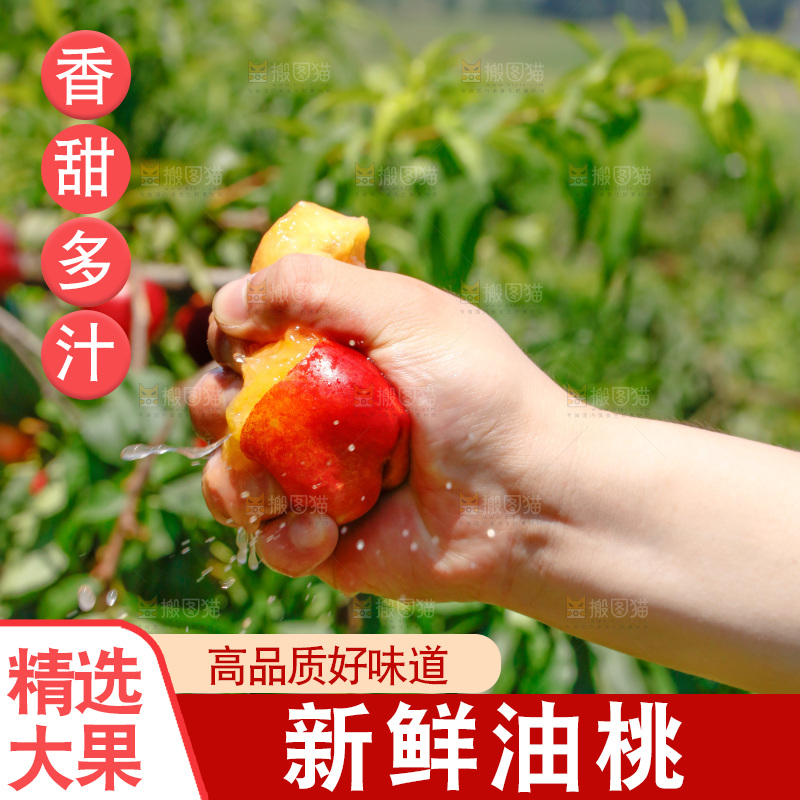手里爆汁的黄心油桃