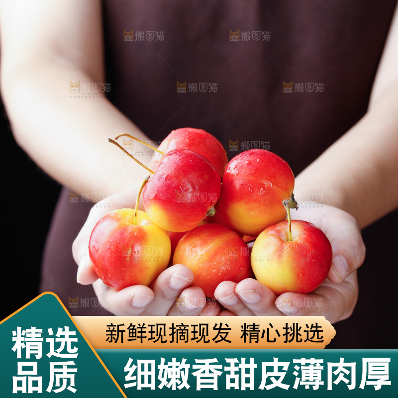 手里捧着新鲜海棠果