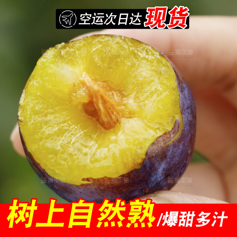 手上拿着新鲜西梅